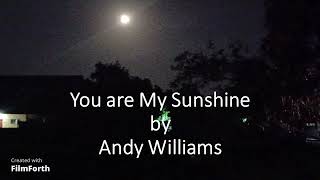 Andy Williams - You are My Sunshine