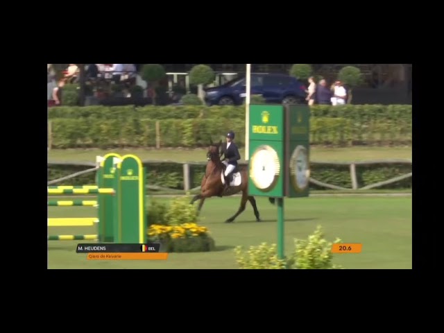 Half-sister of the mother is CSI 1.45m jumping mare Qiara de Kalvarie with rider Gilles Thomas.