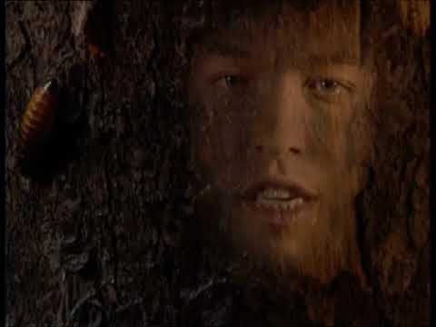 Video thumbnail for Дерево (Tree)