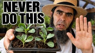 Never Make These 5 Mistakes When Starting Seeds Indoors