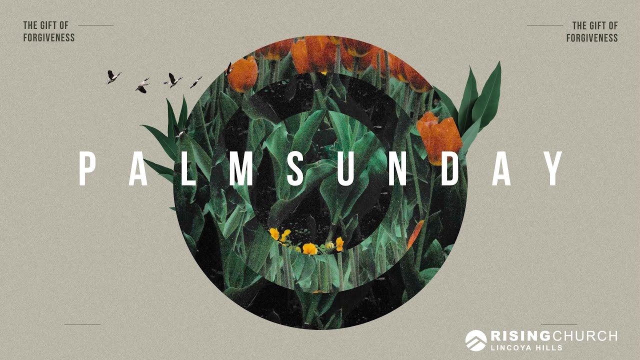 THE KING WE DIDN'T EXPECT (Palm Sunday)