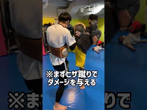 【格闘技】武尊選手の必勝コンビネーションを解説！　#shorts