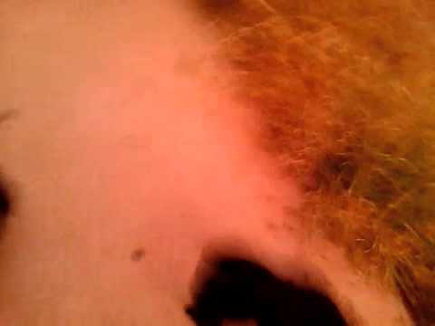 Say hi to Sadie &Justice.