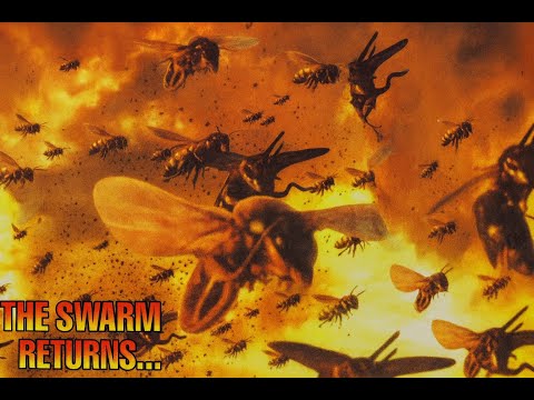 The Swarm Returns . . . The Hebrew Israelites Will Triumph!