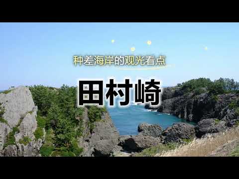 陆奥潮风步道「田村崎」