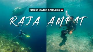 Journey to Raja Ampat 🇮🇩: Explore Kri Island's Underwater Paradise