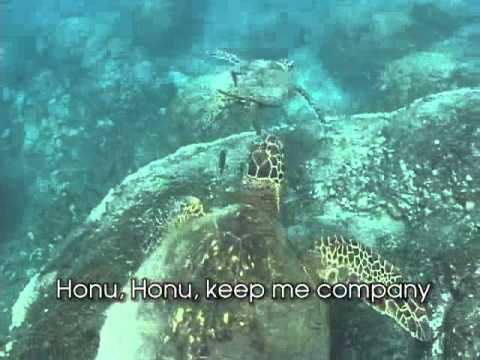 Honu - Hawaii Kids Calabash Songs Featuring Pearly Shells - Honu