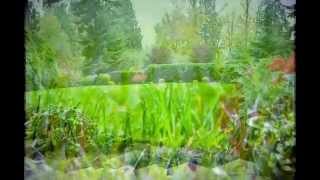 preview picture of video 'Best Lawn Mowing Service in Green Ohio 44685 | Alpine Landscaping 330-896-5640'