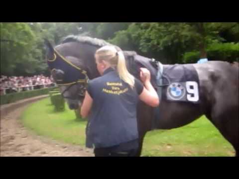 Pferderennen * Love Generation