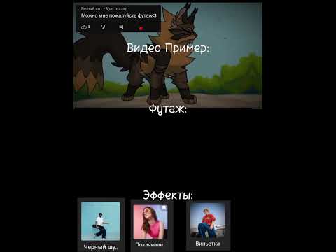 Вот вам футаж) || #котывоители #warriorcats