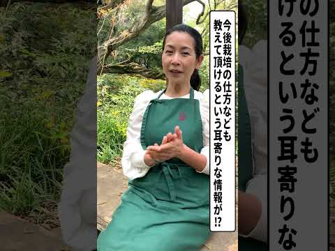医療ビジネス薬科学科 あさイチのご視聴ありがとうございました！#shorts
