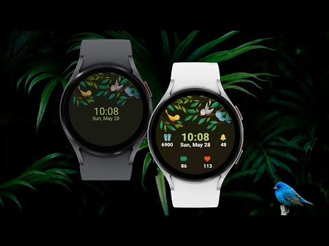 Summer Birds Watch Animated video thumbnail