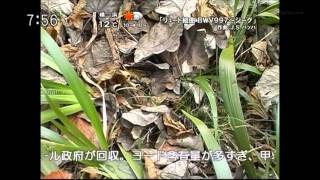 Download lagu リュート組曲 BWV997～ジーグ 作曲　J.S.バッハ mp3