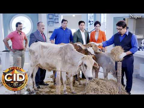 गऊ रक्षा अभियान में जुड़ा Dr Salunkhe I CID New Episode 2026 I Best Of CID