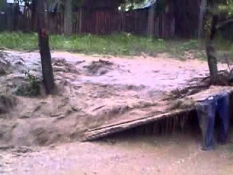 Viitura din satu nou