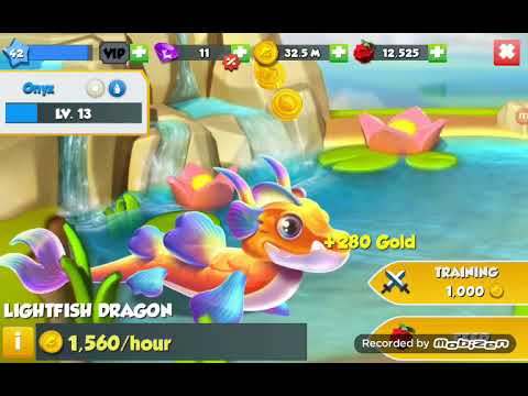 DML part 9 ( Lightfish Dragon )