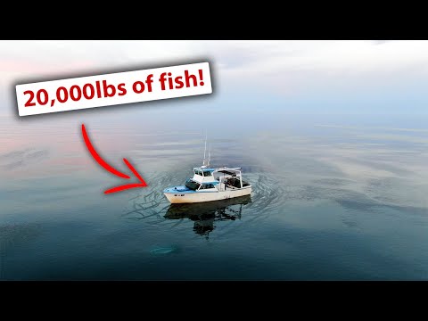 A World Of Commercial Fishing That Very Few People Know Exists