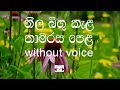 Neela Bingu Kela Karaoke Without Voice නීල බිඟු කැල