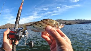 Simple Method to Catch Catfish Every Trip Year Round