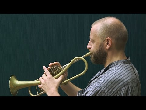 Thomas Gansch trifft das Mannheim Jazz Orchestra