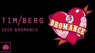 Tim Berg - &#39;Seek Bromance&#39; (Avicii&#39;s Arena Mix)