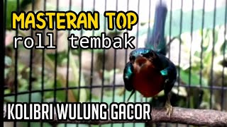 Download lagu masteran kolibri wulung rol tembak mp3 Download lagu masteran kolibri wulung rol tembak mp3