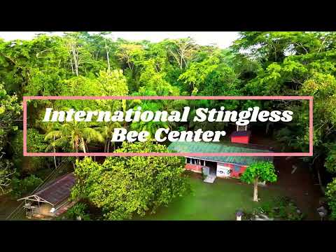 International Stringless Bee Center at the Kakum Rainforest