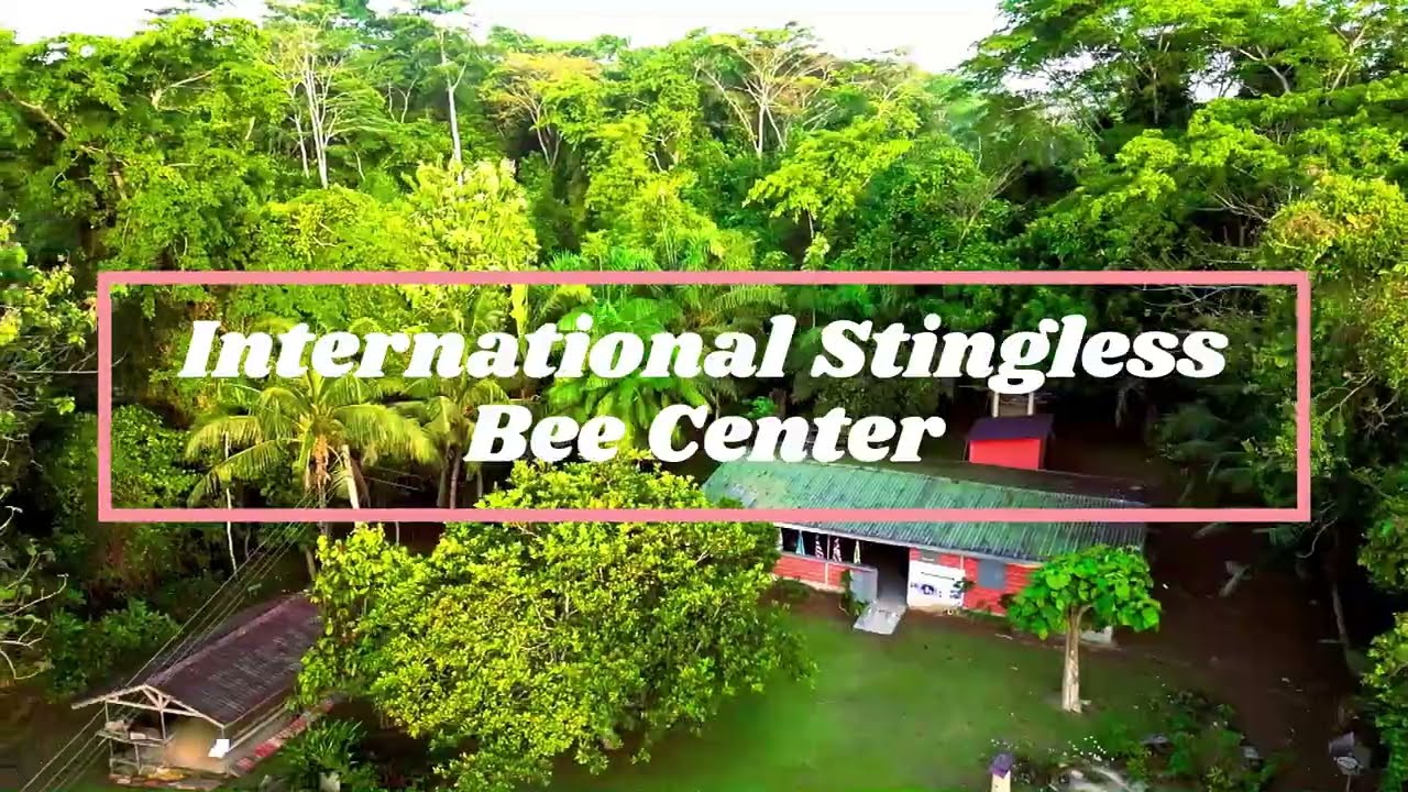 International Stringless Bee Center at the Kakum Rainforest