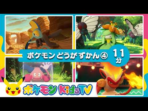 【ポケモン公式】ポケモン動画図鑑④－ポケモン Kids TV【Nonverbal】