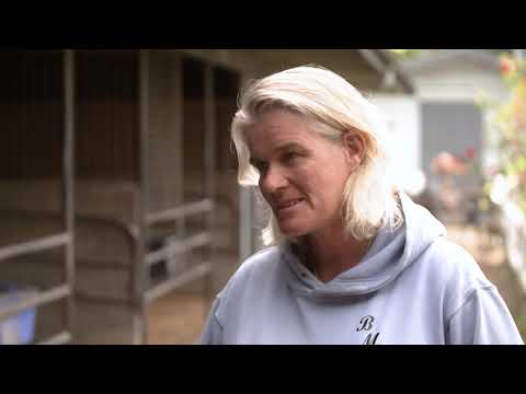 Pam Gerard: Tokorangi and Grip in NZ Derby