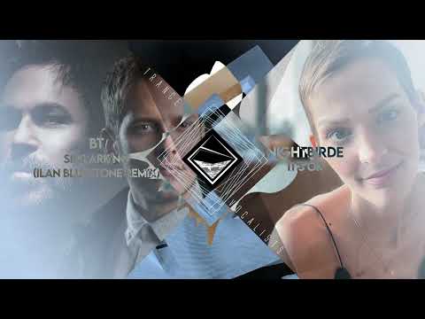 Nightbirde x BT x Ilan Bluestone - It's OK to Skylark (TranceX Mashup)