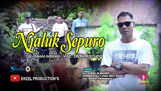 Download lagu NJALUK SEPURO Voc. Didik Kacung mp3