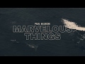 Marvelous Things