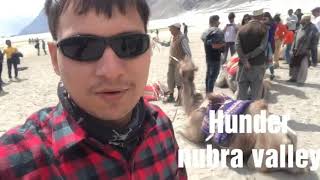 preview picture of video 'leh Ladakh camel ride wo b double hump wale '