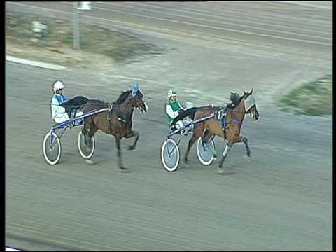 Trotto 17/02/2017 - prova di qualifica