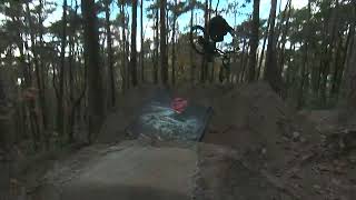 Woody Downhill MTB Chase 2