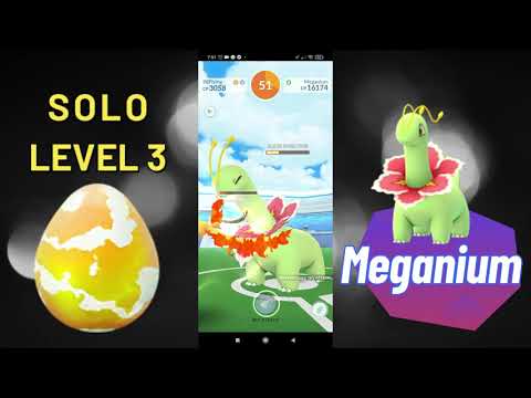 SOLOING MEGANIUM RAID BOSS LEVEL 3