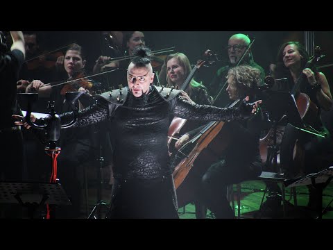 Americans React to Hayko Cepkin w/ An Epic Symphony