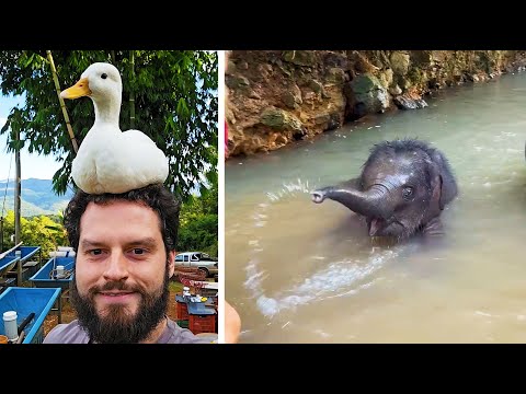 #4 Die besten Videos 2025 || ✪ Stern DuTube