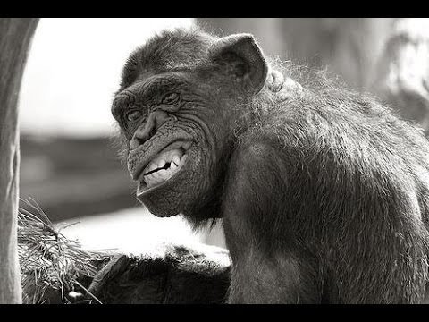 Melkoinen työmaa Pinsiössä