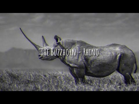 The Buzzhorn - Rhino (LEGENDADO PT-BR)