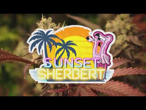 "Sunset Sherbert" 150bpm Bminor - by Kontrix