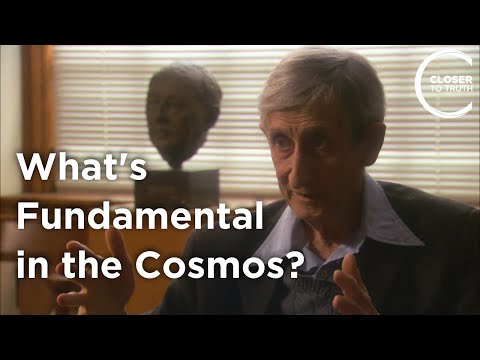 Freeman Dyson - What's Fundamental in the Cosmos?