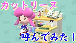 カットリーヌのヘアサロンブースを作って、カットリーヌを呼んでみた！【ポケ森】