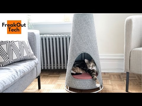 5 Incredible Inventions For Your Cat #7 ✔ Video