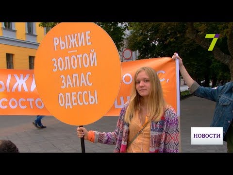 Что не должны содержать отбеливающие кремы Отбеливающие крема для рубцов