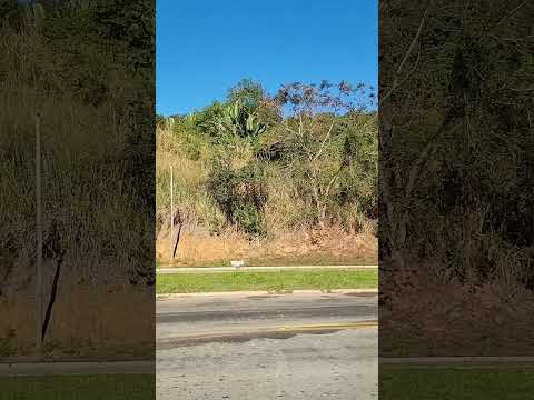 02/07/26,Dona Euzébia, MG.#minasgerais #turismo #viagem #donaeuzebia
