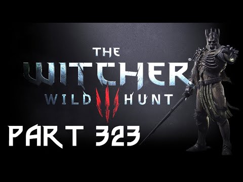 Let's Play The Witcher 3: Wild Hunt GOTY Part 323: A Flaky Introduction