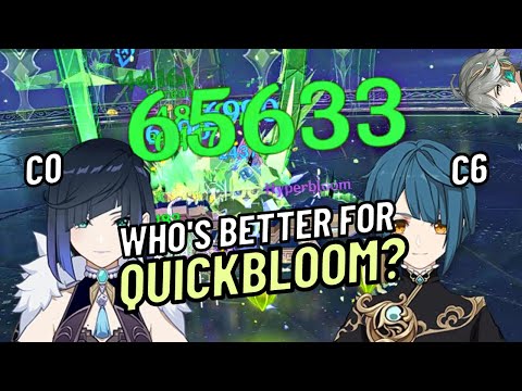 C0 Yelan OR C6 Xingqiu for Dendro Quickbloom?