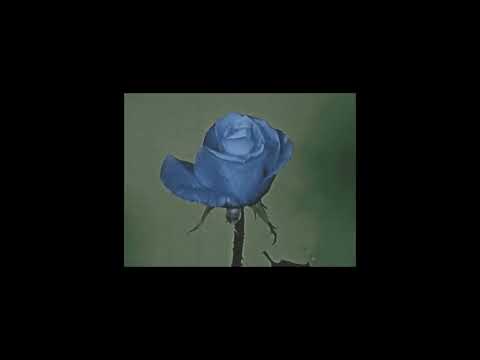 doli x thug - ona nie chce mnie znać